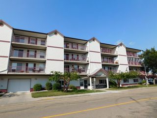 Photo 15: 203 5020 49 Street: Rocky Mountain House Apartment for sale : MLS®# A1256736