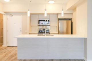 Photo 4: 211 80 Philip Lee Drive in Winnipeg: Crocus Meadows Condominium for sale (3K)  : MLS®# 202213247