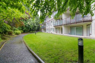 Photo 2: 211 7139 18TH AVENUE in Burnaby: Edmonds BE Condo for sale (Burnaby East)  : MLS®# R2468004