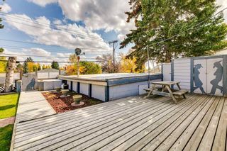 Photo 5: 236 Fairview Drive SE in Calgary: Fairview Detached for sale : MLS®# A2082943