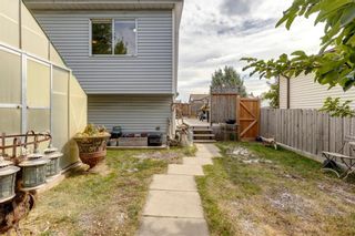 Photo 38: 63 Erin Meadows Court SE in Calgary: Erin Woods Detached for sale : MLS®# A2020352