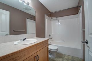 Photo 27: 191 Silver Springs Way NW: Airdrie Detached for sale : MLS®# A1202537