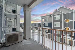 Photo 29: 308 400 Auburn Meadows Common SE in Calgary: Auburn Bay Apartment for sale : MLS®# A2106815