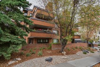 Photo 27: 202 1731 9A Street SW in Calgary: Lower Mount Royal Apartment for sale : MLS®# A1041904