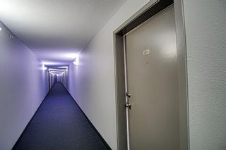 Photo 11: 2413 333 Taravista Drive NE in Calgary: Taradale Apartment for sale : MLS®# A2015874