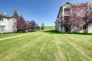 Photo 46: 320 3000 Citadel Meadow Point NW in Calgary: Citadel Apartment for sale : MLS®# A1244571
