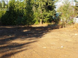 Photo 9: 4021 Torry Road in Eagle Bay: Vacant Land for sale : MLS®# 10307672