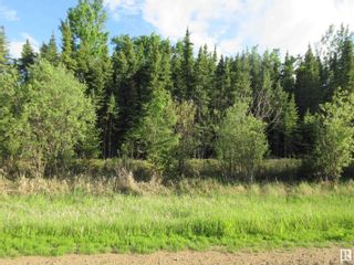 Photo 4: RR 223 Twp Rd 612: Rural Thorhild County Vacant Lot/Land for sale : MLS®# E4318874