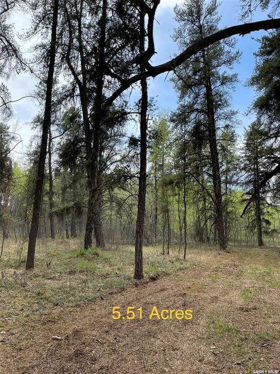 Main Photo: Torch River RM Acreage 5.51 Acres in Torch River: Lot/Land for sale (Torch River Rm No. 488)  : MLS®# SK897923