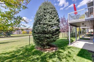 Photo 45: 153 Shannon Estates Terrace SW in Calgary: Shawnessy Semi Detached (Half Duplex) for sale : MLS®# A2083471