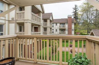 Photo 17: 214 843 22ND Street in West Vancouver: Dundarave Condo for sale in "TUDOR GARDENS" : MLS®# R2528064