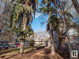 Photo 8: 9936 112 Street in Edmonton: Zone 12 Vacant Lot/Land for sale : MLS®# E4308470