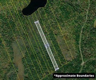 Photo 7: Lot Walker Lake in Carleton Corner: Annapolis County Vacant Land for sale (Annapolis Valley)  : MLS®# 202400677
