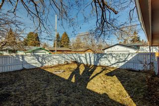 Photo 31: 3352 Barr Road NW in Calgary: Brentwood Detached for sale : MLS®# A2029534
