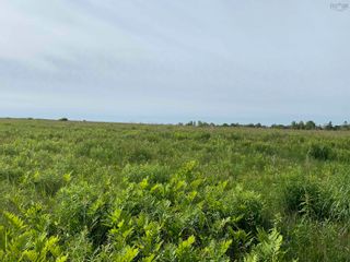 Photo 19: 56 Acre Lot Highway 215 in Kempt Shore: Hants County Vacant Land for sale (Annapolis Valley)  : MLS®# 202213737
