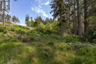 Photo 11: 7200 East Sooke Rd in Sooke: Vacant Land for sale : MLS®# 900244