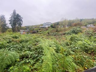 Photo 21: 315 Harbour Rd in Coal Harbour: NI Port Hardy Land for sale (North Island)  : MLS®# 888181