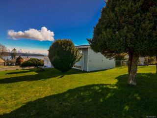 Photo 2: 135 S Murphy St in CAMPBELL RIVER: CR Campbell River Central House for sale (Campbell River)  : MLS®# 724073
