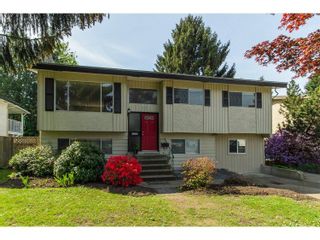 Photo 1: 11771 GRAVES Street in Maple Ridge: Southwest Maple Ridge House for sale : MLS®# R2059887