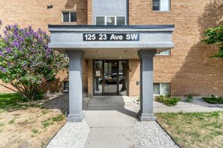 Photo 2: 18 125 23 Avenue SW in Calgary: Mission Apartment for sale : MLS®# A2054137