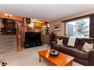 Photo 21: 139 MCKERRELL Way SE in Calgary: McKenzie Lake House for sale : MLS®# C4102134