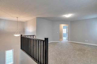 Photo 18: 411 Hillcrest Circle SW: Airdrie Detached for sale : MLS®# A1143121