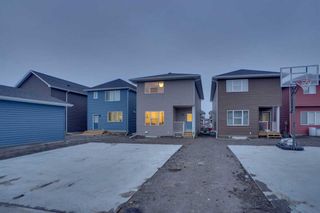 Photo 45: 1125 Bayview Gardens SW: Airdrie Detached for sale : MLS®# A2130544