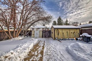 Photo 31: 3019 33A Street SE in Calgary: Dover Detached for sale : MLS®# A2103905