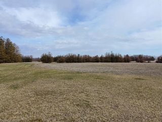 Photo 13: 396 Lakeshore Road in Norfolk County: Rural Houghton Agriculture for sale (Houghton)  : MLS®# 40394871