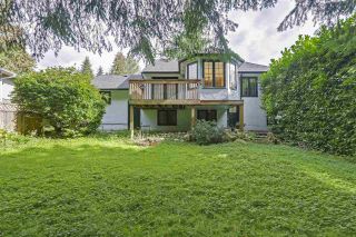 Photo 19: 3399 EDGEMONT Boulevard in North Vancouver: Edgemont House for sale : MLS®# R2310085