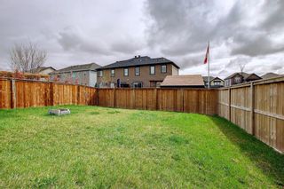Photo 48: 320 VIEWPOINTE Terrace: Chestermere Semi Detached for sale : MLS®# A1215425