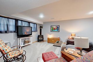 Photo 16: 69 Lees Street: Red Deer Semi Detached (Half Duplex) for sale : MLS®# A2010185