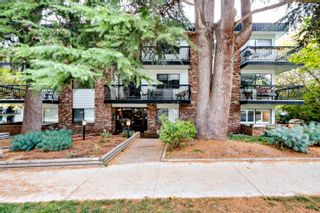 Main Photo: 310 2330 MAPLE Street in Vancouver: Kitsilano Condo for sale (Vancouver West)  : MLS®# R2821267