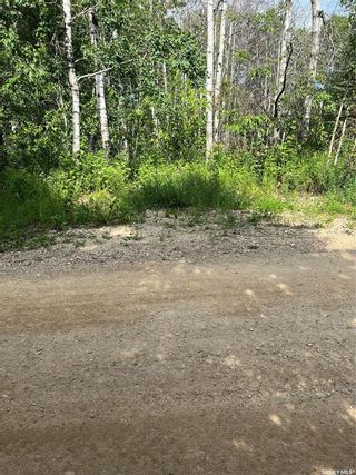 Photo 5: 10 Sunset Drive in Big Shell: Lot/Land for sale : MLS®# SK904132
