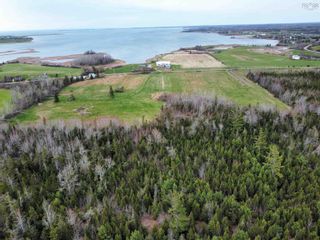 Photo 4: 65 Brule Point Road in Brule: 103-Malagash, Wentworth Vacant Land for sale (Northern Region)  : MLS®# 202309076