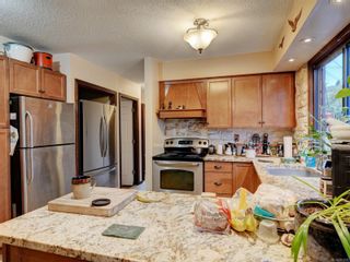 Photo 7: 3912 Braefoot Rd in Saanich: SE Cedar Hill Single Family Residence for sale (Saanich East)  : MLS®# 951237