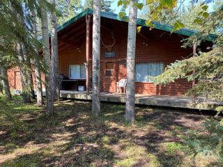 Photo 1: #115 - The Narrows 70544 Rge Rd 234 in Rural Greenview No. 16, M.D. of: Rural Greenview M.D. Recreational for sale : MLS®# A2128416