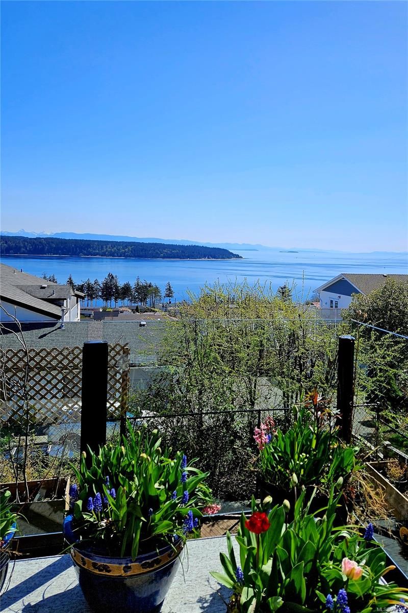Main Photo: 253 S Alder St in Campbell River: CR Campbell River Central House for sale : MLS®# 930402