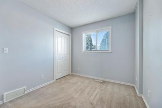 Photo 23: 331 19 Street NE in Calgary: Mayland Heights Detached for sale : MLS®# A2011674
