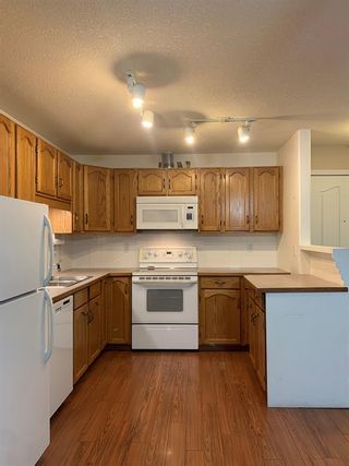 Photo 8: 211 165 Manora Place NE in Calgary: Marlborough Park Apartment for sale : MLS®# A2007480