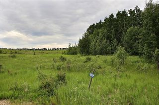 Photo 1: 33538 Rg RD 30: Rural Mountain View County Land for sale : MLS®# C4305650