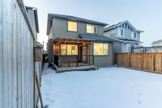 Photo 30: 104 Kingsmere Cove SE: Airdrie Detached for sale : MLS®# A2019802