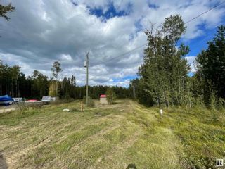 Photo 4: 29 Village West: Rural Wetaskiwin County Rural Land/Vacant Lot for sale : MLS®# E4304480