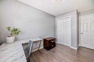 Photo 17: 202 5555 Falsbridge Drive NE in Calgary: Falconridge Apartment for sale : MLS®# A2118008