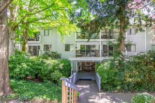Photo 1: 206 428 AGNES Street in New Westminster: Downtown NW Condo for sale in "SHANLEY MANOR" : MLS®# R2873550