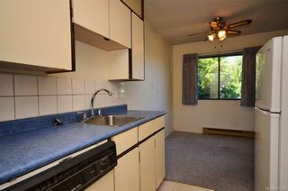 Photo 6: 304 1571 Mortimer St in Saanich: SE Mt Tolmie Condo for sale (Saanich East)  : MLS®# 845262
