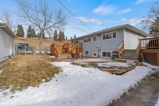 Photo 33: 7403 20 Street SE in Calgary: Ogden Detached for sale : MLS®# A1190464