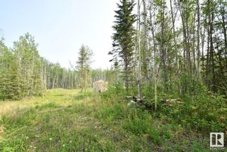 Photo 6: 9 Ovich Lane, Skeleton Lake Est. NW: Rural Athabasca County Vacant Lot/Land for sale : MLS®# E4344360