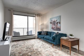 Photo 3: 203 709 3 Avenue NW in Calgary: Sunnyside Apartment for sale : MLS®# A2041549