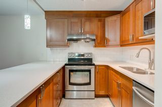 Photo 23: 404 718 12 Avenue SW in Calgary: Beltline Apartment for sale : MLS®# A1049992